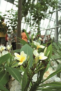 Ökologisch-Botanischer Garten Bayreuth