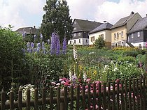 pflanzgarten-steinbach_ludwigsstadt.jpg