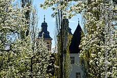 Türme der Schlosskirche und der untere Torbau (Bad Mergentheim, Liebliches Taubertal)